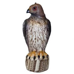 BIRD-B-GONE Hawk Decoy